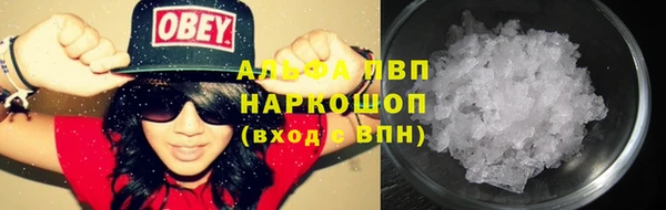 стаф Арсеньев