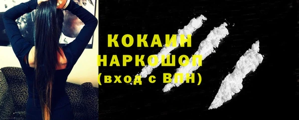 стаф Арсеньев