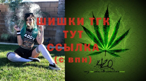 стаф Арсеньев